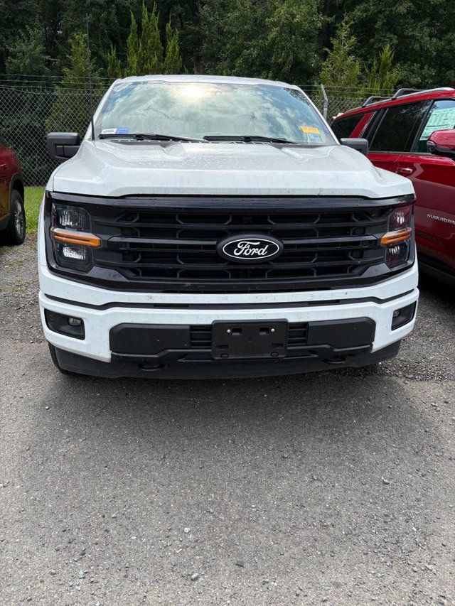 2025 Ford F-150 XLT - 23050582 - 1