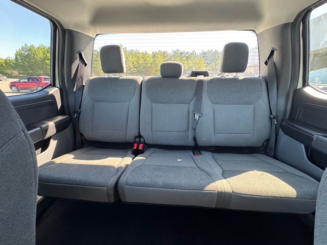 2025 Ford F-150 XLT - 23091597 - 25