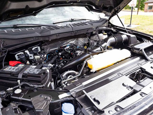 2025 Ford F-150 XLT - 23077225 - 31