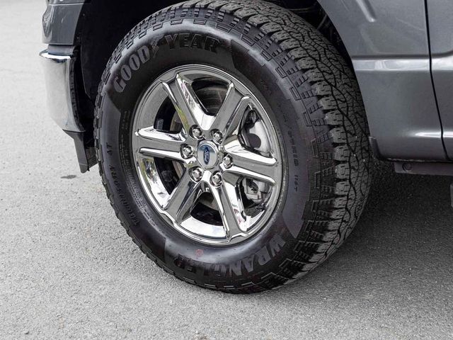 2025 Ford F-150 XLT - 23077225 - 6