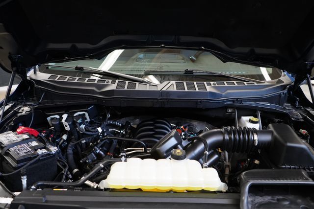 2025 Ford F-150 XLT - 23077602 - 45