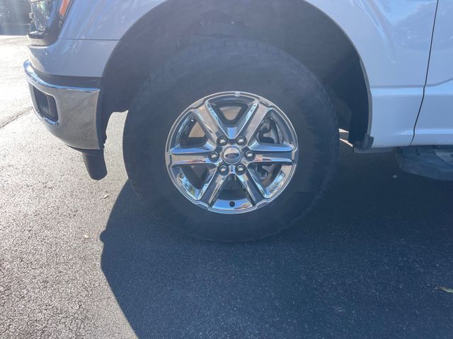 2025 FORD F-150 XLT - 23097472 - 7