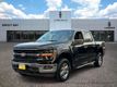 2025 Ford F-150 XLT - 23024947 - 0