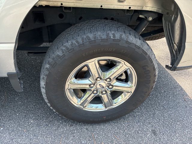 2025 Ford F-150 XLT - 23019892 - 11
