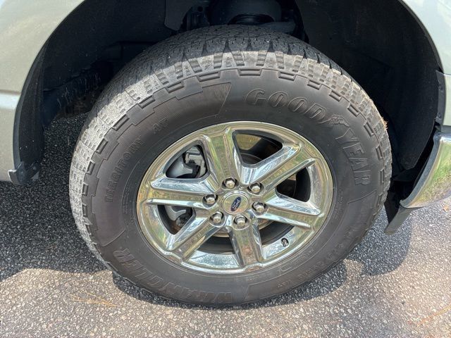 2025 Ford F-150 XLT - 23019892 - 15
