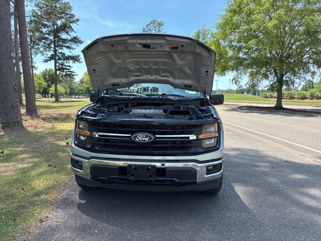 2025 Ford F-150 XLT - 23019892 - 18