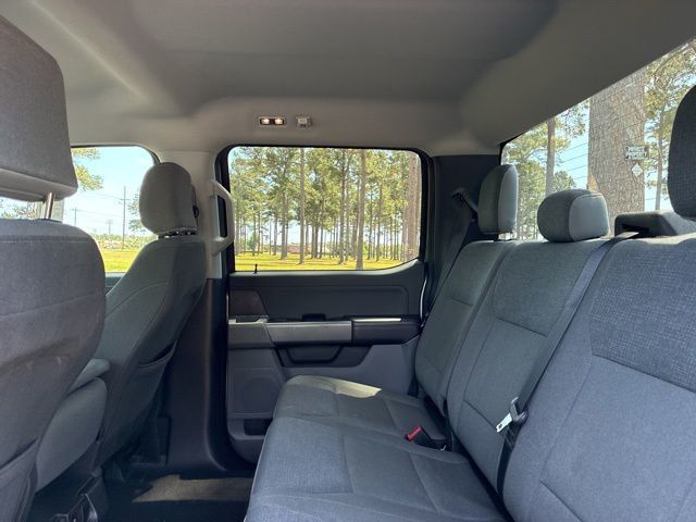 2025 Ford F-150 XLT - 23019892 - 20