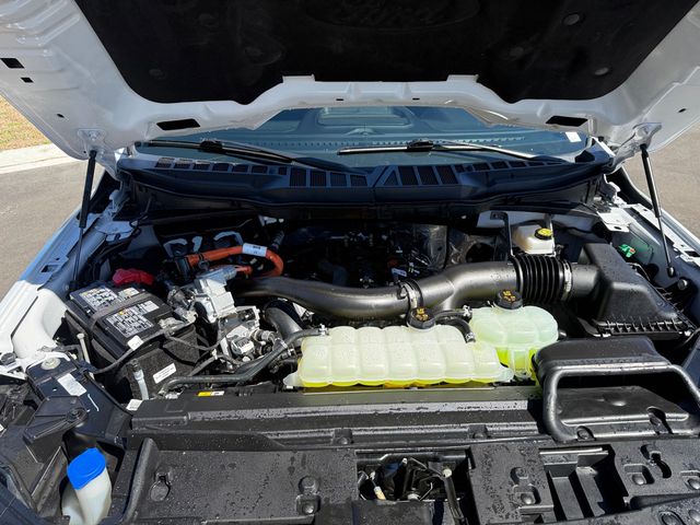 2025 Ford F-150 XLT 4WD HYBRID CREW CAB - 22988426 - 13