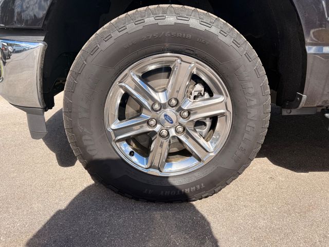 2025 Ford F-150 XLT 4WD SuperCrew 5.5' Box - 23095282 - 21