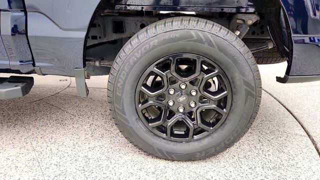 2025 Ford F-150 XLT 4WD SuperCrew 5.5' Box w/ PowerBoost Hybrid - 23087205 - 8