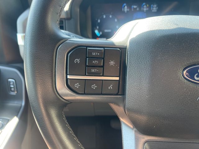 2025 FORD F-150 XLT W/ 301A EQUIPMENT PACKAGE ($1,585 VALUE!!) - 23088283 - 15