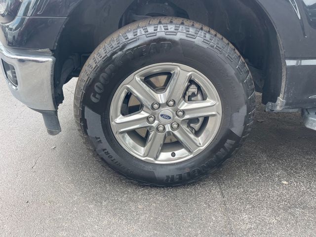 2025 FORD F-150 XLT W/ 301A EQUIPMENT PACKAGE ($1,585 VALUE!!) - 23088842 - 6