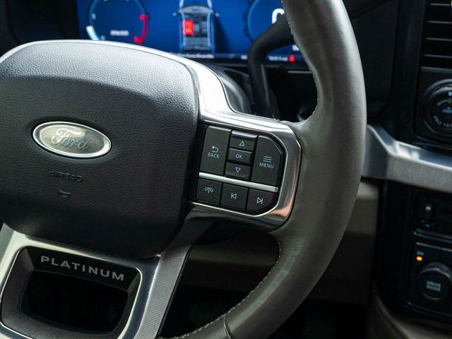2025 Ford F-450SD Platinum - 23077271 - 22