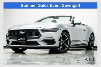 Request More Information