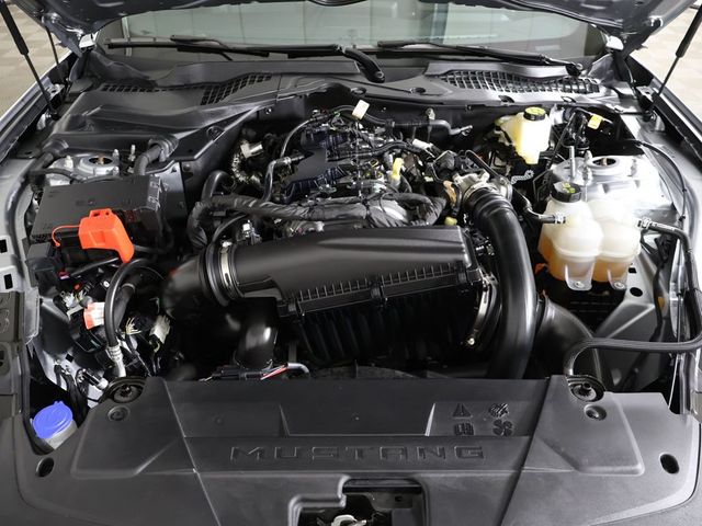 2025 Ford Mustang EcoBoost Fastback - 23033852 - 18