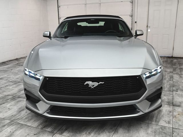 2025 Ford Mustang EcoBoost Premium - 23008202 - 1