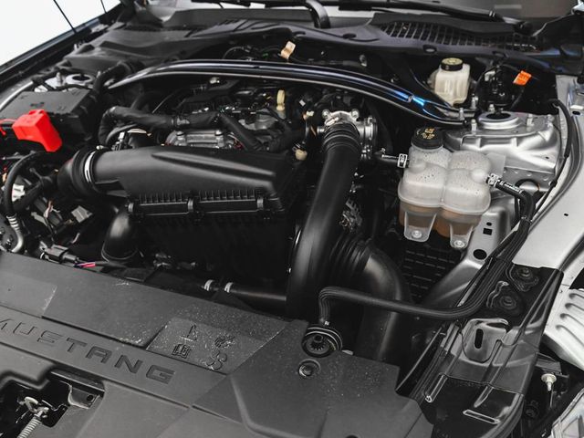 2025 Ford Mustang EcoBoost Premium - 23008202 - 39