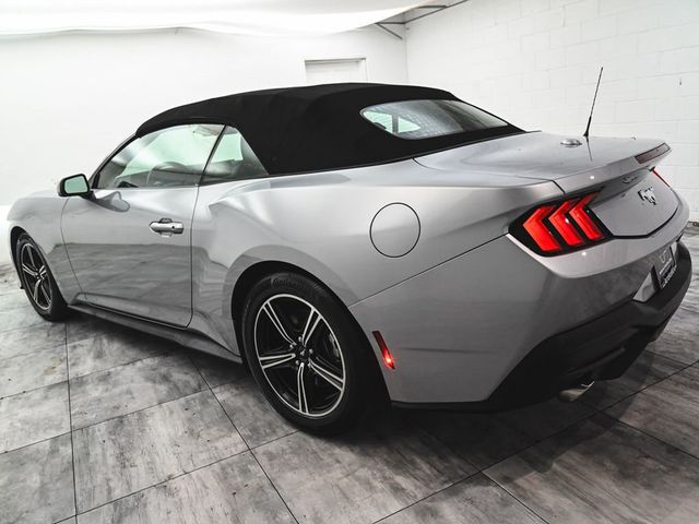 2025 Ford Mustang EcoBoost Premium - 23008202 - 6