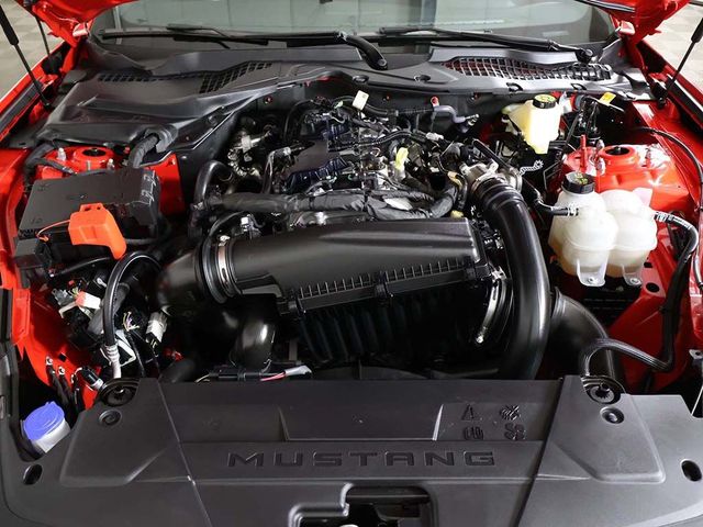 2025 Ford Mustang EcoBoost Premium Fastback - 23036975 - 19