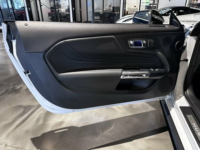 2025 Ford Mustang GT/Premium/6SpeedManual/NitePonyPkg/ActiveExhaust/Htd&CldSeats - 23050462 - 13