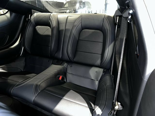 2025 Ford Mustang GT/Premium/6SpeedManual/NitePonyPkg/ActiveExhaust/Htd&CldSeats - 23050462 - 21
