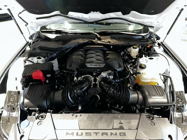 2025 Ford Mustang GT/Premium/6SpeedManual/NitePonyPkg/ActiveExhaust/Htd&CldSeats - 23050462 - 8