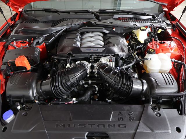 2025 Ford Mustang GT Premium Fastback - 23024229 - 21