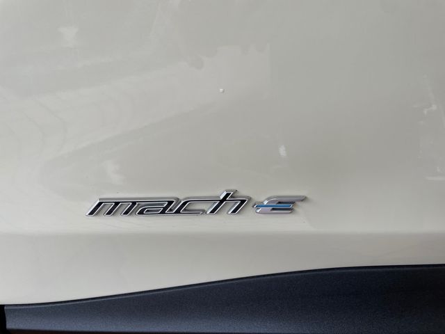 2025 Ford Mustang Mach-E Premium RWD - 23068414 - 13