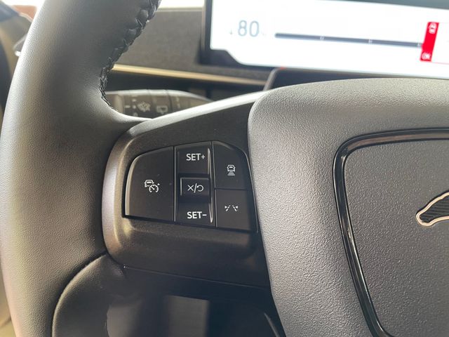 2025 Ford Mustang Mach-E Premium RWD - 23068414 - 30