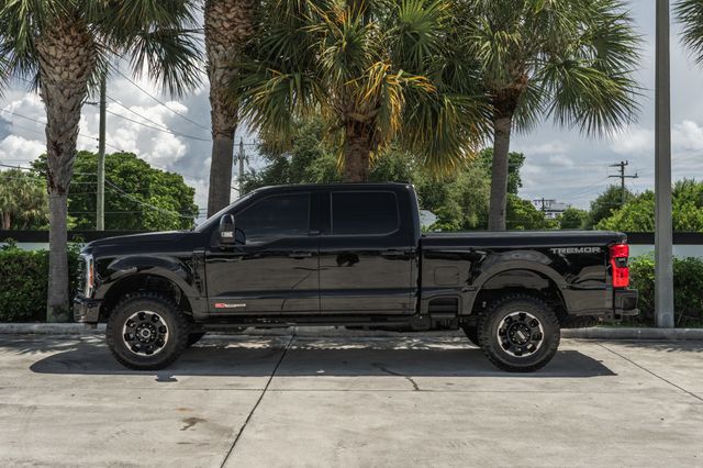 2025 Ford Super Duty F-250 SRW Platinum - 23078413 - 2