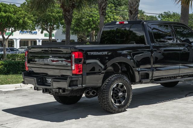 2025 Ford Super Duty F-250 SRW Platinum - 23078413 - 6