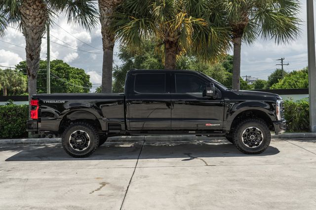 2025 Ford Super Duty F-250 SRW Platinum - 23078413 - 8