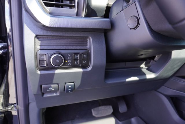 2025 Ford SUPER DUTY F-350 PLATINUM - 23091066 - 30