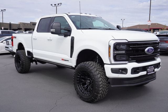 2025 Ford SUPER DUTY F-350 PLATINUM FX4 - 22919772 - 15