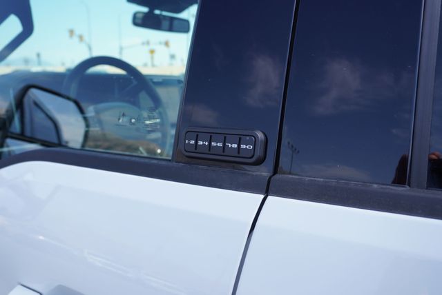 2025 Ford SUPER DUTY F-350 PLATINUM FX4 - 22919772 - 23