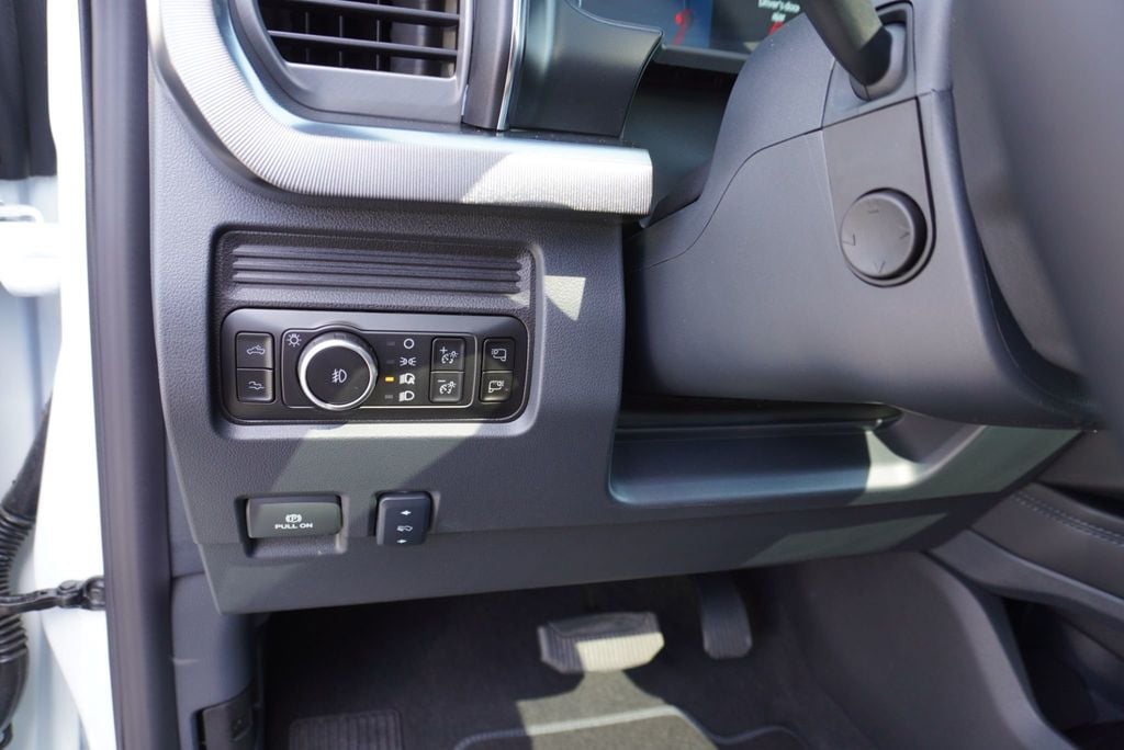 2025 Ford SUPER DUTY F-350 PLATINUM FX4 - 22919772 - 33