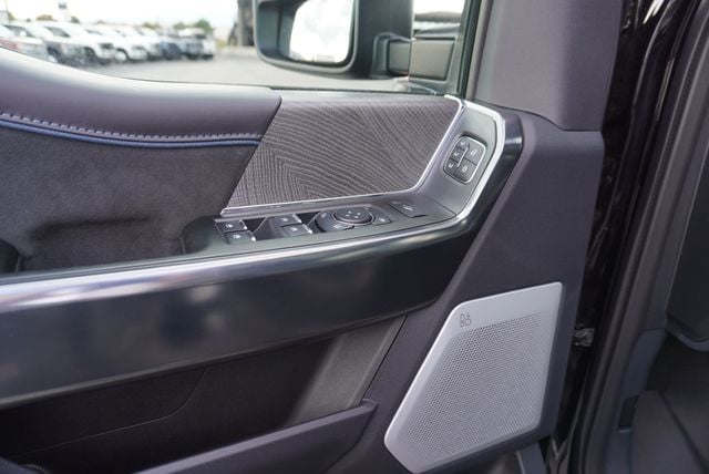 2025 Ford SUPER DUTY F-350 PLATINUM FX4 - 22921441 - 30