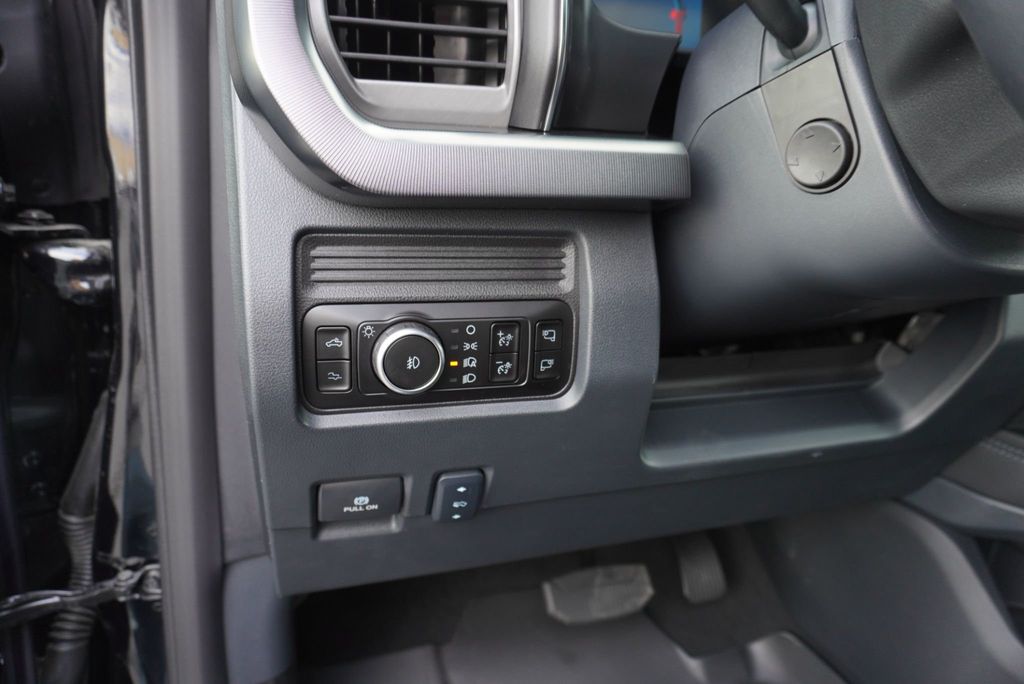 2025 Ford SUPER DUTY F-350 PLATINUM FX4 - 22921441 - 31