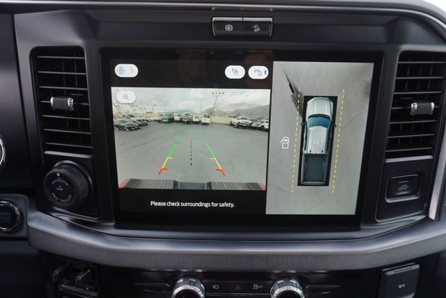 2025 Ford SUPER DUTY F-350 PLATINUM FX4 - 22921441 - 43