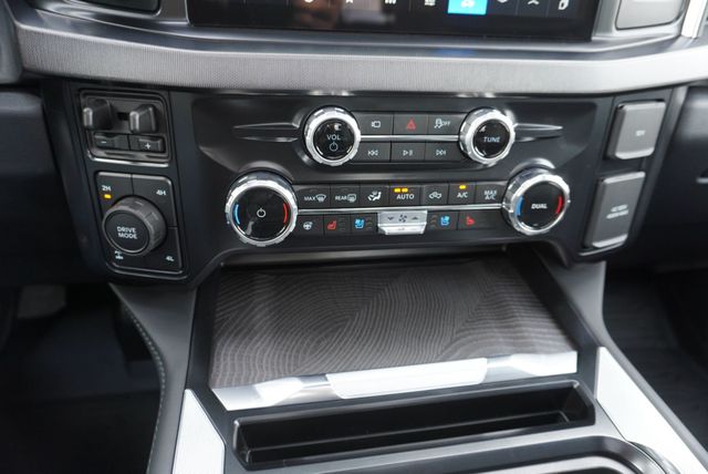 2025 Ford SUPER DUTY F-350 PLATINUM FX4 - 22921441 - 46