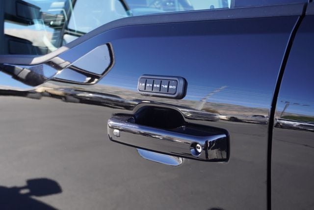 2025 Ford SUPER DUTY F-350 PLATINUM FX4 - 22937659 - 25