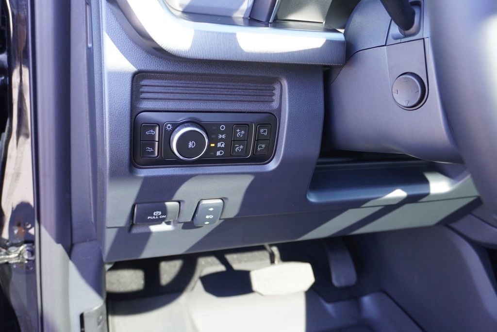 2025 Ford SUPER DUTY F-350 PLATINUM FX4 - 22937659 - 35