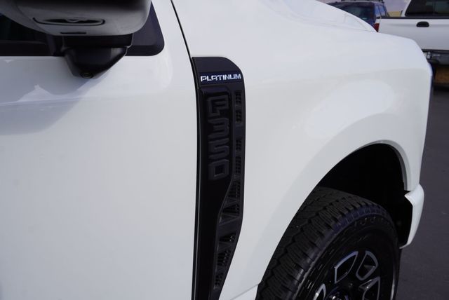 2025 Ford SUPER DUTY F-350 PLATINUM FX4 - 22951235 - 20