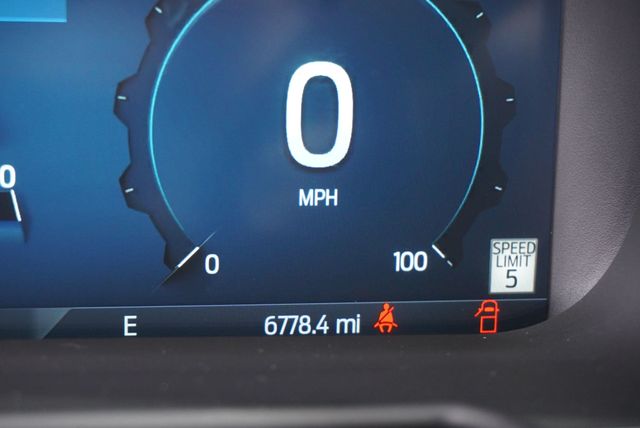 2025 Ford SUPER DUTY F-350 PLATINUM FX4 - 22951235 - 33