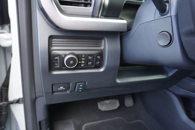 2025 Ford SUPER DUTY F-350 PLATINUM FX4 - 22952112 - 32