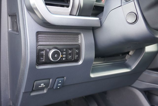2025 Ford SUPER DUTY F-350 PLATINUM FX4 - 23004962 - 29