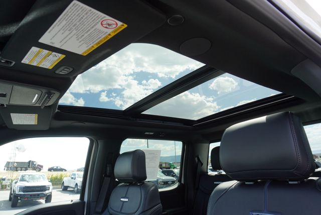 2025 Ford SUPER DUTY F-450 PLATINUM - 22889351 - 51