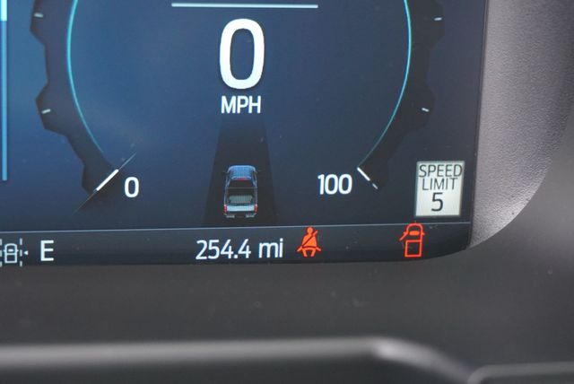 2025 Ford SUPER DUTY F-450 PLATINUM FX4 - 22944702 - 34