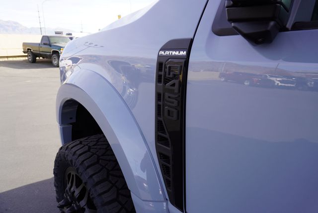 2025 Ford SUPER DUTY F-450 PLATINUM FX4 - 22944717 - 22