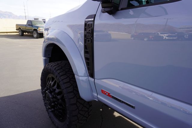 2025 Ford SUPER DUTY F-450 PLATINUM FX4 - 22944717 - 23